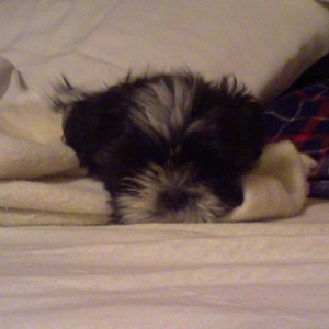 Profile Picture of Jonathan Salinas (@134608444) on Myspace