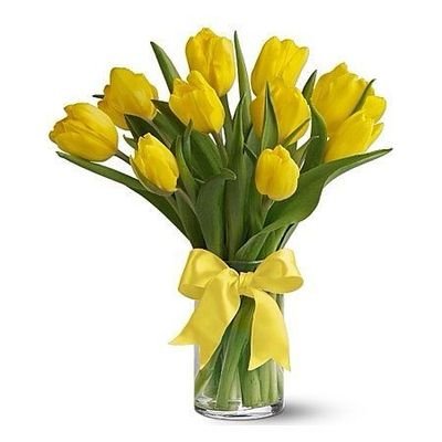 Dina Jaramillo - Twitter Profile Picture of Dina Jaramillo (@Dina_jaro) on Twitter