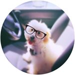 Profile Picture of Newhouse17 (@amelianewhouse8) on Instagram