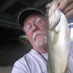 Profile Picture of Steven Bloomfield (@steven.bloomfield.9) on Instagram