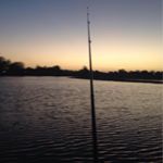 Profile Picture of David Dedman (@dedmand) on Instagram
