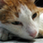 Profile Picture of Yeah It's Mastermike! (@yeah it's mastermike!) on Flickr