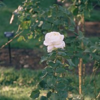 Profile Picture of Michael Munster (@michael-munster) on Quora