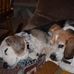 Profile Picture of Lorie Handler (@lorie.handler.9) on Facebook