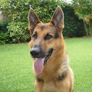 Profile Picture of Michael Hammer (@michael.hammer.7330763) on Facebook