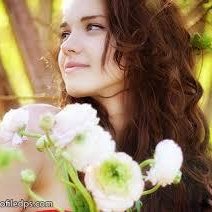 Profile Picture of AdamsElbertGaylord (@AdamsElbertGayl) on Twitter