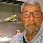 Profile Picture of Angelo Perrucci (@retopasco) on Instagram