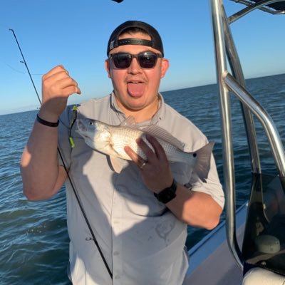 Profile Picture of Chello  🦍 (@MACampos68) on Twitter