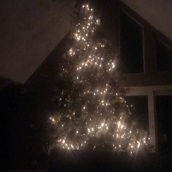 Profile Picture of Therese Cogliano (@tcogliano) on Poshmark