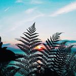 Profile Picture of Тони Кей (@kei.toni) on Instagram