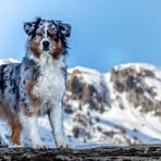 Profile Picture of Markus Pfirmann (@Markus-Pfirmann) on Facebook