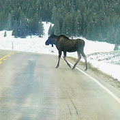 Profile Picture of John Schade (@johnschade1434) on Youtube