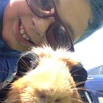 Profile Picture of Eric Rodriguez (Ajs Vlogs) (@eric_pigglewiggles) on Instagram