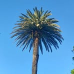 Profile Picture of Connor Mcbrearty (@connor.mcbrearty.2025) on Facebook