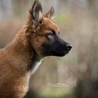 Profile Picture of Wilfried Bahner (@wilfriedbahner) on Instagram