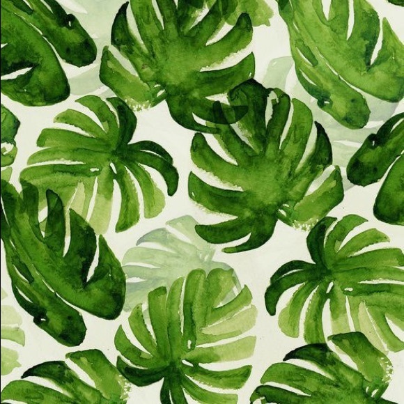 Profile Picture of Halle Dicrosta (@halle160) on Poshmark