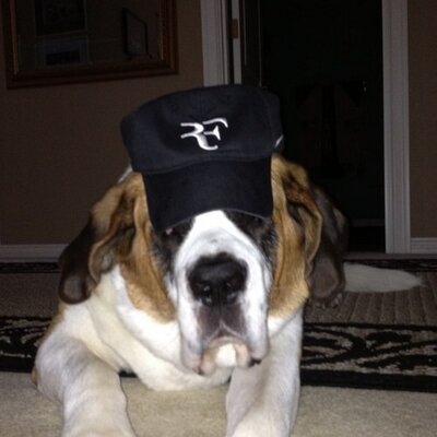 Darryl Hough - Twitter Profile Picture of Darryl Hough (@turffit1) on Twitter