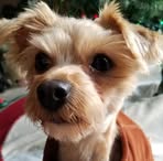 Profile Picture of Kathy Dotts (@kathy.dotts.3) on Facebook
