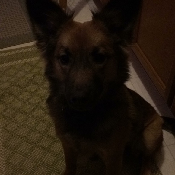 Profile Picture of Janai Stepp (@tropic_gal) on Poshmark