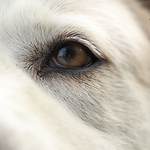 Profile Picture of James Baker (@jb122789) on Flickr