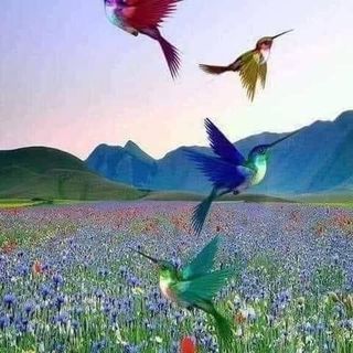 Profile Picture of Dalal Fadel (@dalal.fadel.10) on Facebook