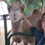 Profile Picture of Corey Chabot (@corey.chabot.2025) on Facebook