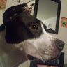 Profile Picture of Linda Bullington (@lbullington74) on Pinterest