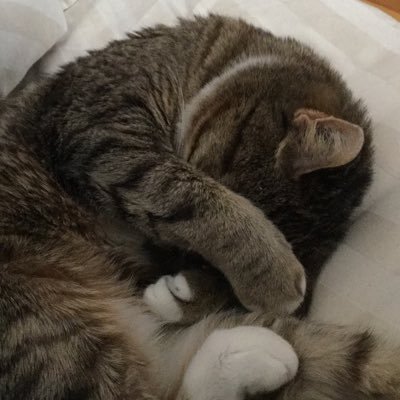 Profile Picture of Deborah Poole (@Dragon_Queen59) on Twitter