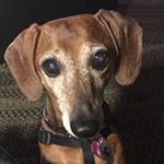 Profile Picture of Beverly Cunningham (@beverly.cunningham) on Instagram
