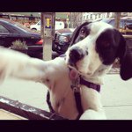 Profile Picture of Amy (@amylovseth) on Instagram