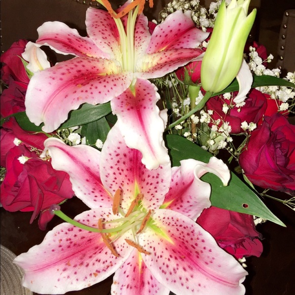 Profile Picture of Cristal Perez (@cristalperez316) on Poshmark