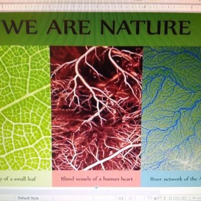 Nancy M Rodgers - Twitter Profile Picture of Nancy M Rodgers (@NancyMRodgers1) on Twitter