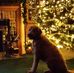 Profile Picture of Robert Llewellyn (@robert.llewellyn.7792) on Facebook