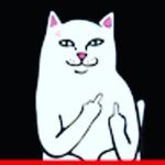 Profile Picture of Noah Gibbons (@noah_gibbons082019) on Instagram