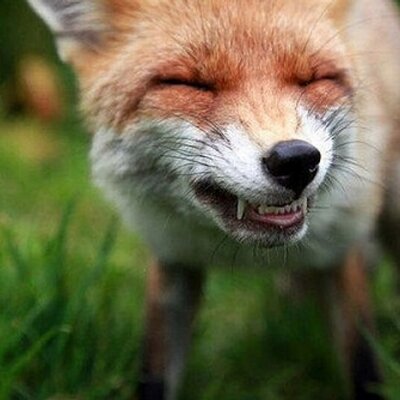 Vladimir Gusev - Twitter Profile Picture of Vladimir Gusev (@nonameptz) on Twitter