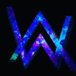 Thomas Botticelli - Instagram Profile Picture of Thomas Botticelli (@ston.kas) on Instagram