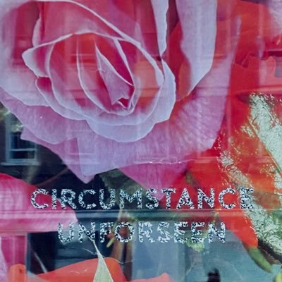 Profile Picture of Paul Sheehan (@PaulNut) on Twitter