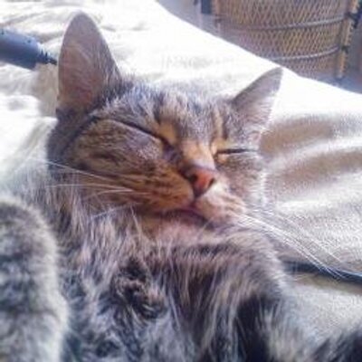 Profile Picture of Mike Rudkin (@MikeRudkin1) on Twitter