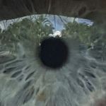 Profile Picture of Jason Ryall (@jason_ryall) on Instagram