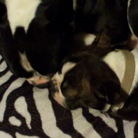 Profile Picture of Timothy Judd (@timothy-judd-3) on Quora