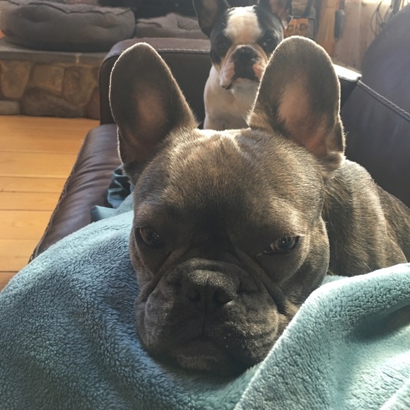 Profile Picture of Anne Andrews (@annesndrews) on Poshmark