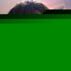 Profile Picture of Aaron Sokolowksi (@104051130) on Myspace