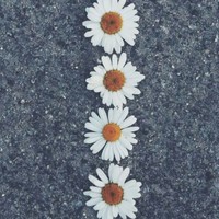 Profile Picture of Giselle Gamboa (@giselle-gamboa-1) on Quora