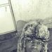 Profile Picture of Keegan Bash (@mubiru.reagan.3) on Facebook