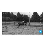 Profile Picture of Joshua🐎 & Amy👧 (@thathorsejoshua) on Instagram