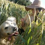 Profile Picture of Delphine Joyce (@squirelllover) on Instagram