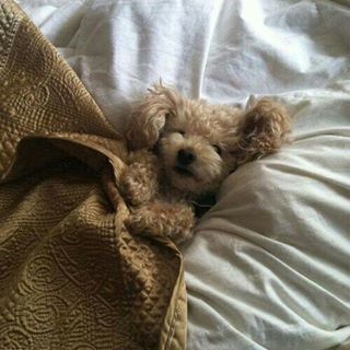 Profile Picture of Gregory Patruzio (@Gregory-Patruzio) on Facebook