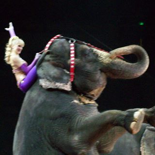 Profile Picture of Inez Maloney (@inez.maloney) on Facebook