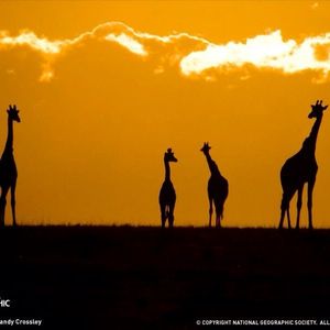 Profile Picture of Alan Webster (@alan.webster.1120) on Myspace