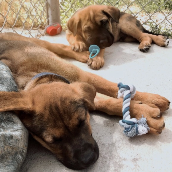 Profile Picture of Elena Yoshimura (@25yosele) on Poshmark